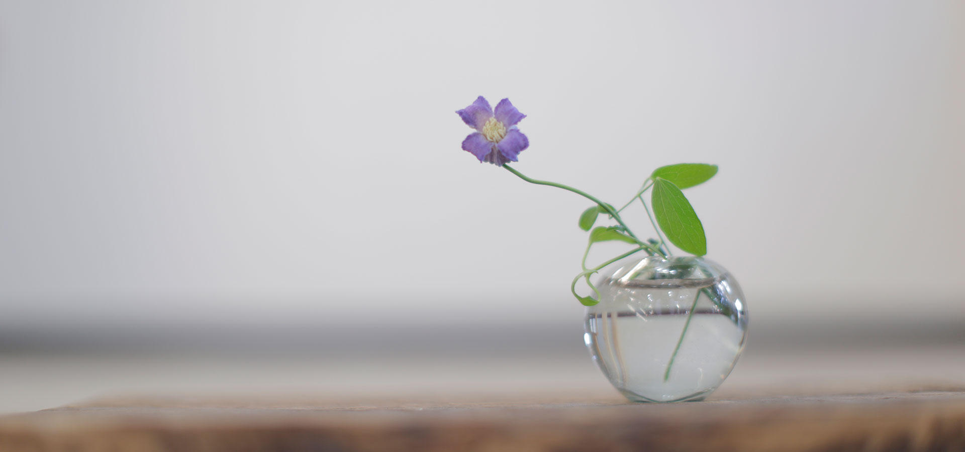 AINASアイナスは安心・真面目な婚活をサポートいたします!!